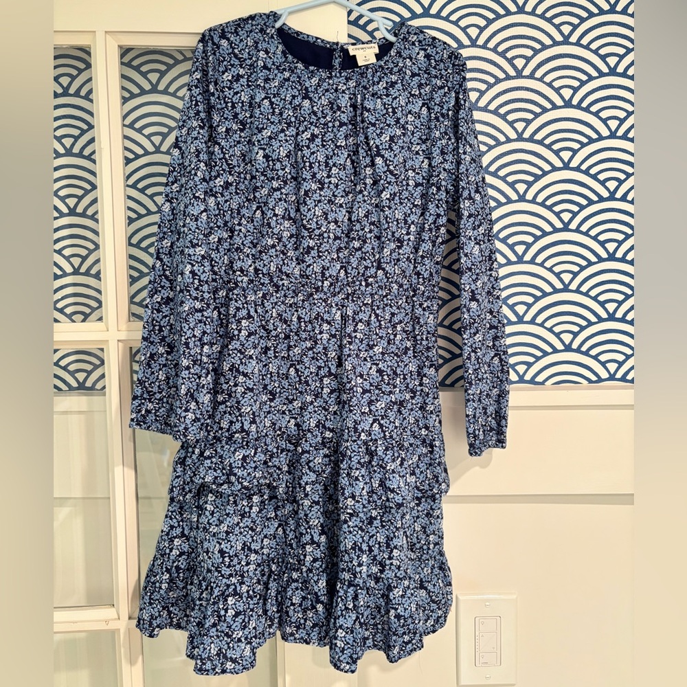 Crewcuts Navy and Light Blue Floral Dress